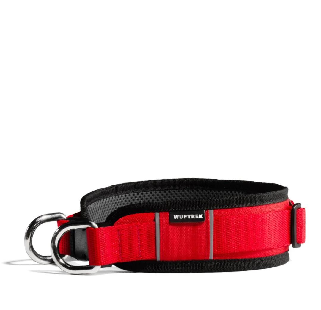 Collar rojo para perro